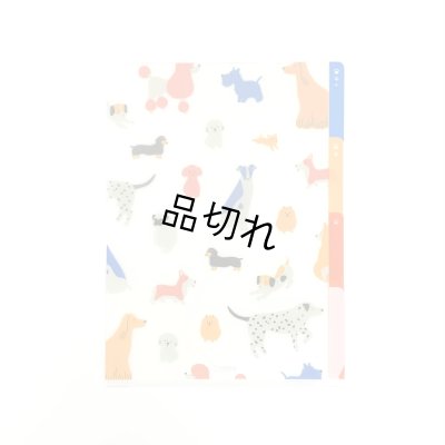 イヌ