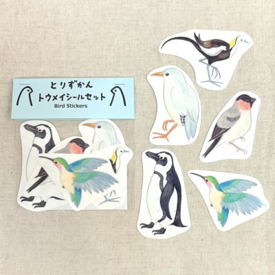 セットＤ（マメハチドリ・ケープペンギン・ウソ・カグー・レンカク）