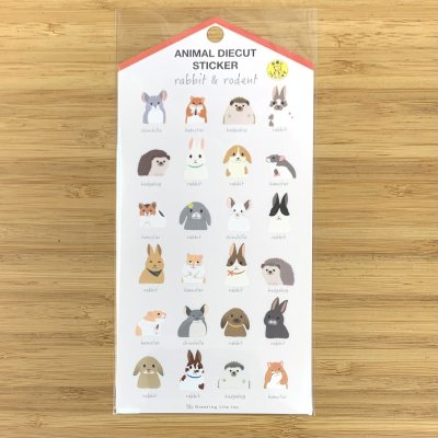 うさぎとげっ歯類