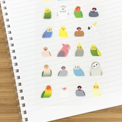 少し透けるフィルム素材です