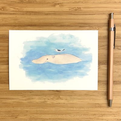 画像1: トナリノポストカード「カバとセキレイ」