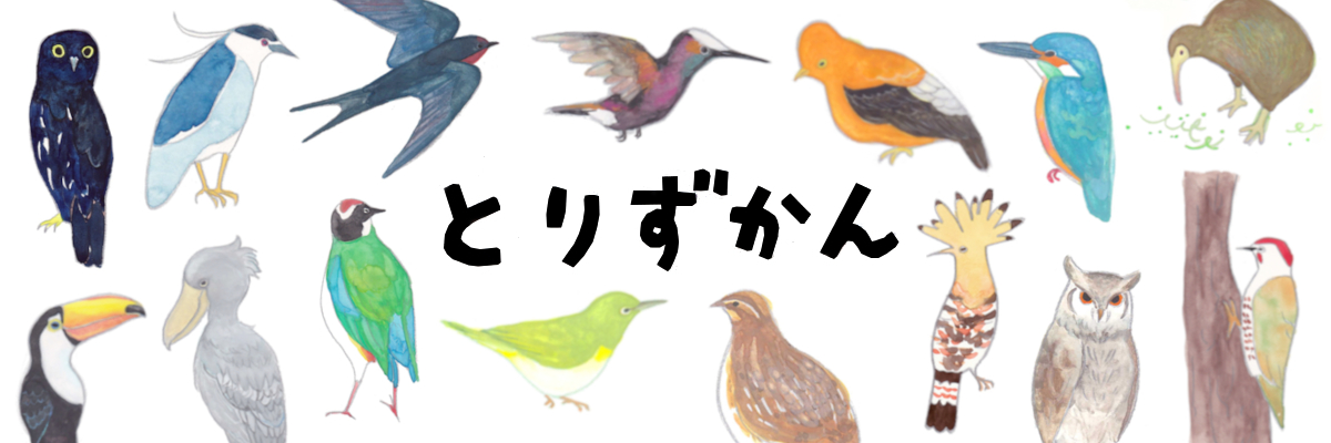 とりずかんシリーズ