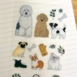 大小さまざまな絵柄です