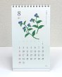 ８月