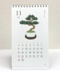 １１月